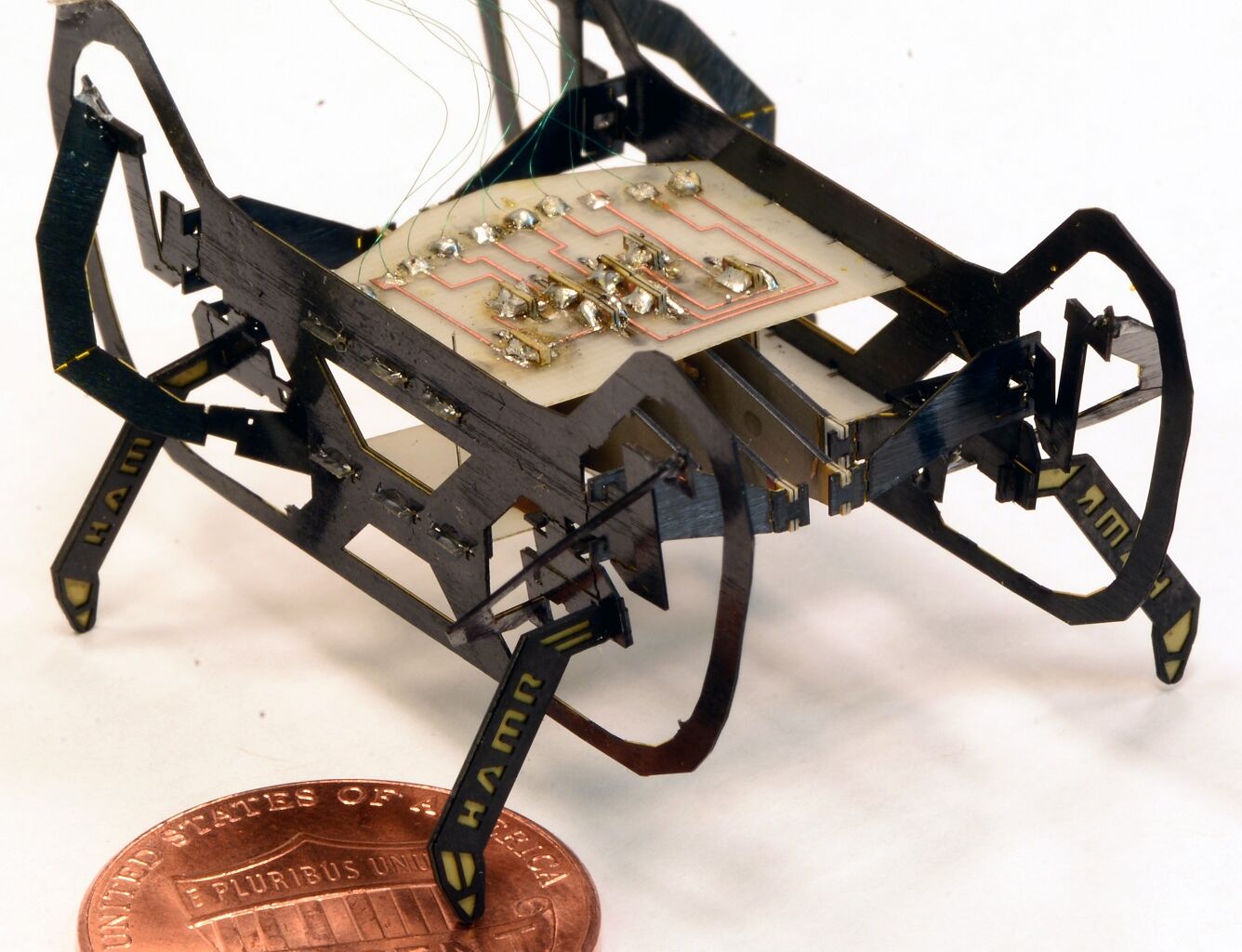 Hamr il robot ispirato allo scarafaggio